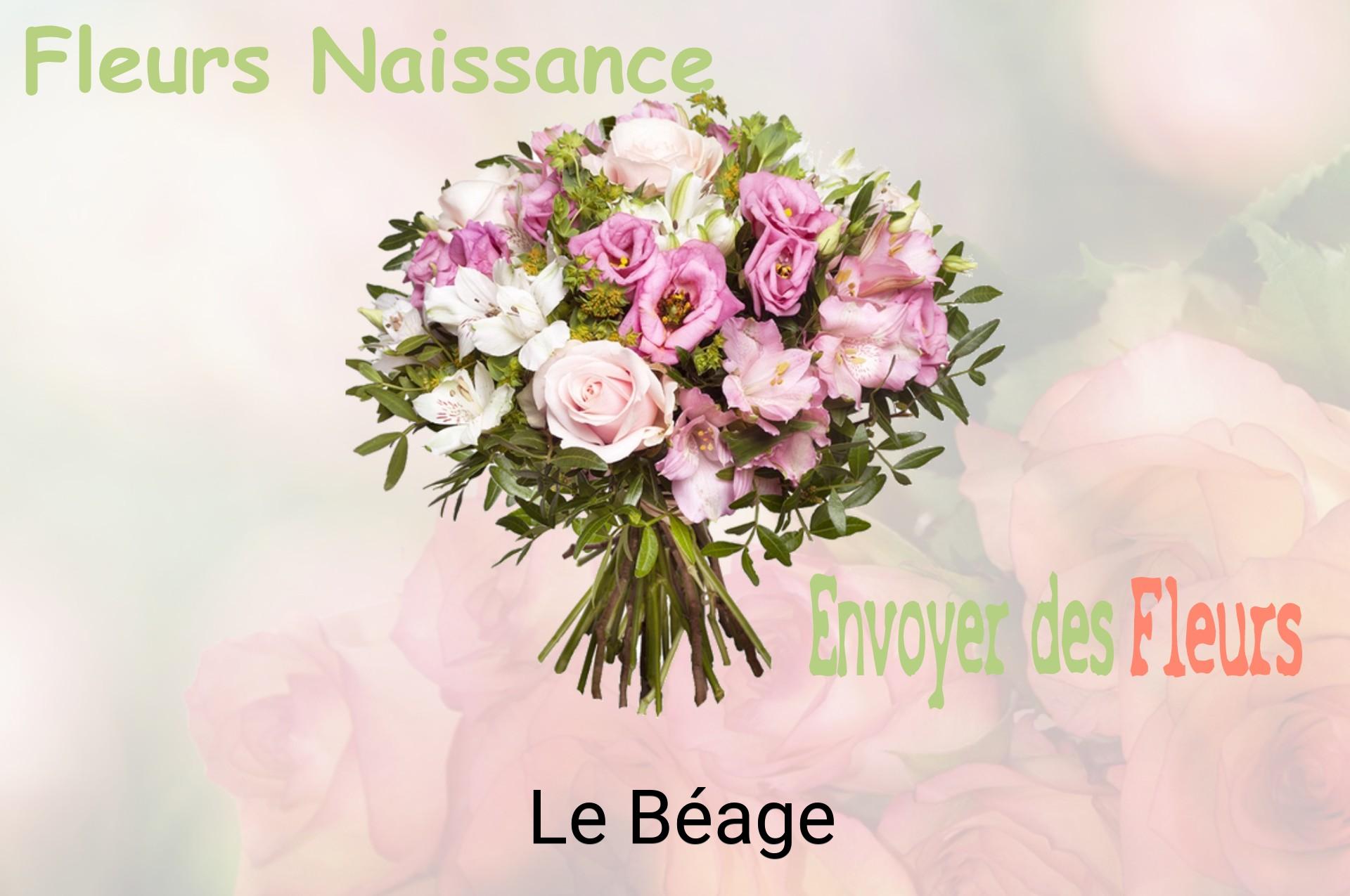 Bouquet de fleurs de naissance livré à Le Béage